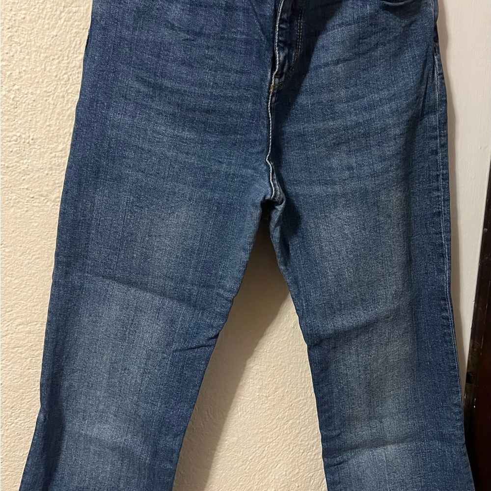 Zara Blue Ankle & Cropped Jeans